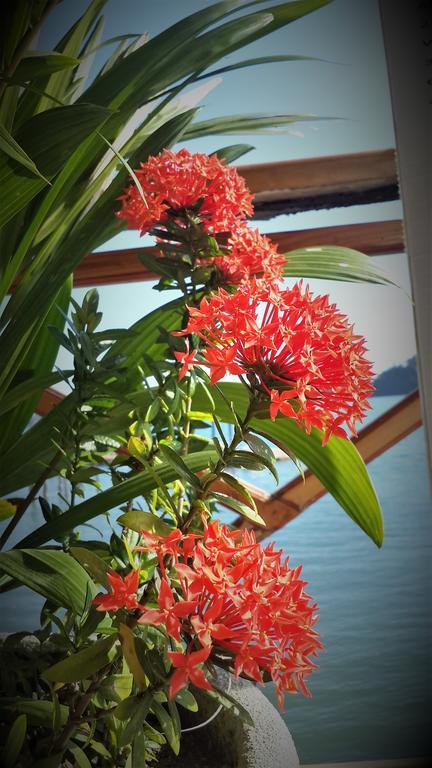 Fish Hook Marina Hotel Golfito Bagian luar foto